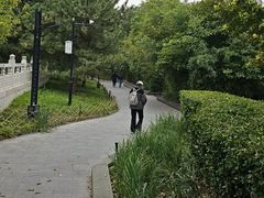 -金宫殿故址