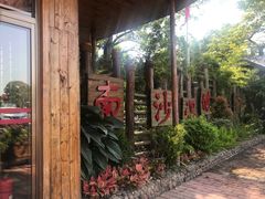 -大湾区中央湿地公园