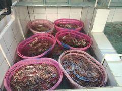 -鸿港海鲜批发市场