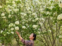 -盘龙城国家考古遗址公园