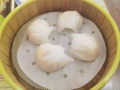 -捷信牛奶甜品世家(柳巷店)