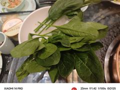 -宛平李记小吃(东关街店)
