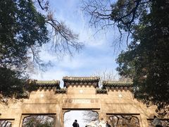 -灵谷景区
