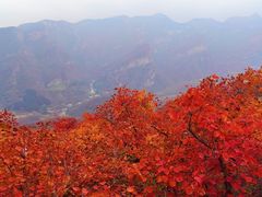 -周口店坡峰岭风景区