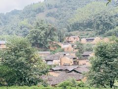 -杨家堂村