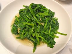 豌豆尖-到家尝北京菜(西坝河店)