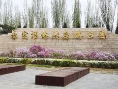 -永定河休闲森林公园