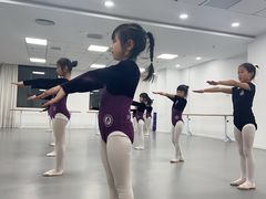 -西安小天鹅艺术团(金花路校区)