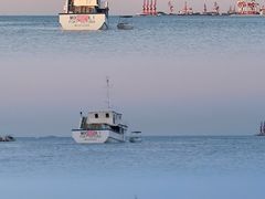 -悦海公园