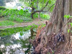 -人民公园(罗湖区)