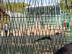 -苏州太湖西山岛开心农场