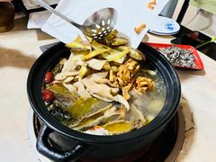 -蘑统田下·野生菌火锅