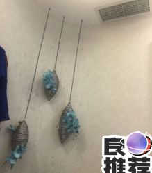 -健身堂科技美肌SPA