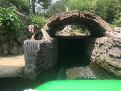 -将军关探险漂流