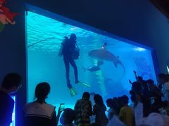 -常州海昌海洋探索馆