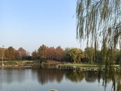 -万柳高尔夫俱乐部