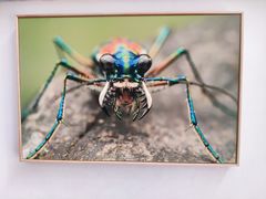 -上海昆虫博物馆