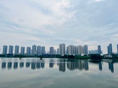 -洋湖国家湿地公园