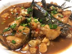 -全乐鱼馆·淳牌有机鱼直营店