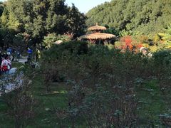 -东湖落雁景区