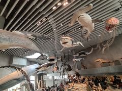 -1868 Café(上海自然博物馆店)