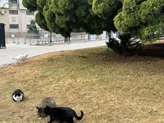 -旅顺博物馆