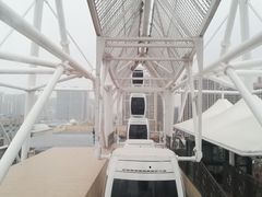 -泰盛楼顶摩天轮