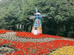 -上海共青森林公园