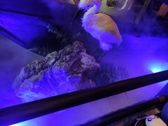 -绿茶餐厅(松江万达店)