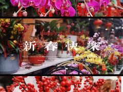 -溪岸路花鸟市场