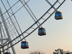 -南昌之星游乐场