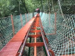 -藏龙百瀑风景区