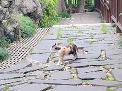 -三游洞
