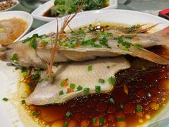 -西兰轩清真菜馆(北顺城街店)