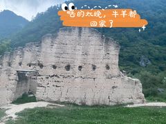 -狮子沟牧场