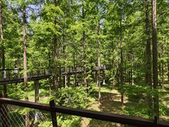 -黄海国家森林公园