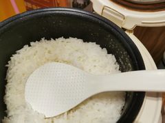 小锅米饭-金掌勺·锅包肉(广渠门店)