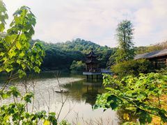 -岳麓山风景名胜区