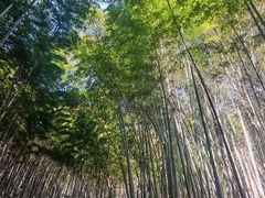 -敬亭山风景名胜区