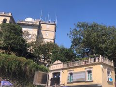 -上海佘山国家森林公园西佘山园