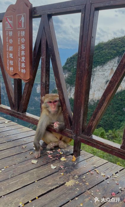 重庆云阳龙缸景区图片