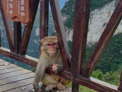 -重庆云阳龙缸景区
