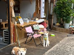 -大洛水码头