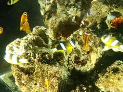 -华夏文旅西安度假区