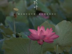 -梁鸿国家湿地公园