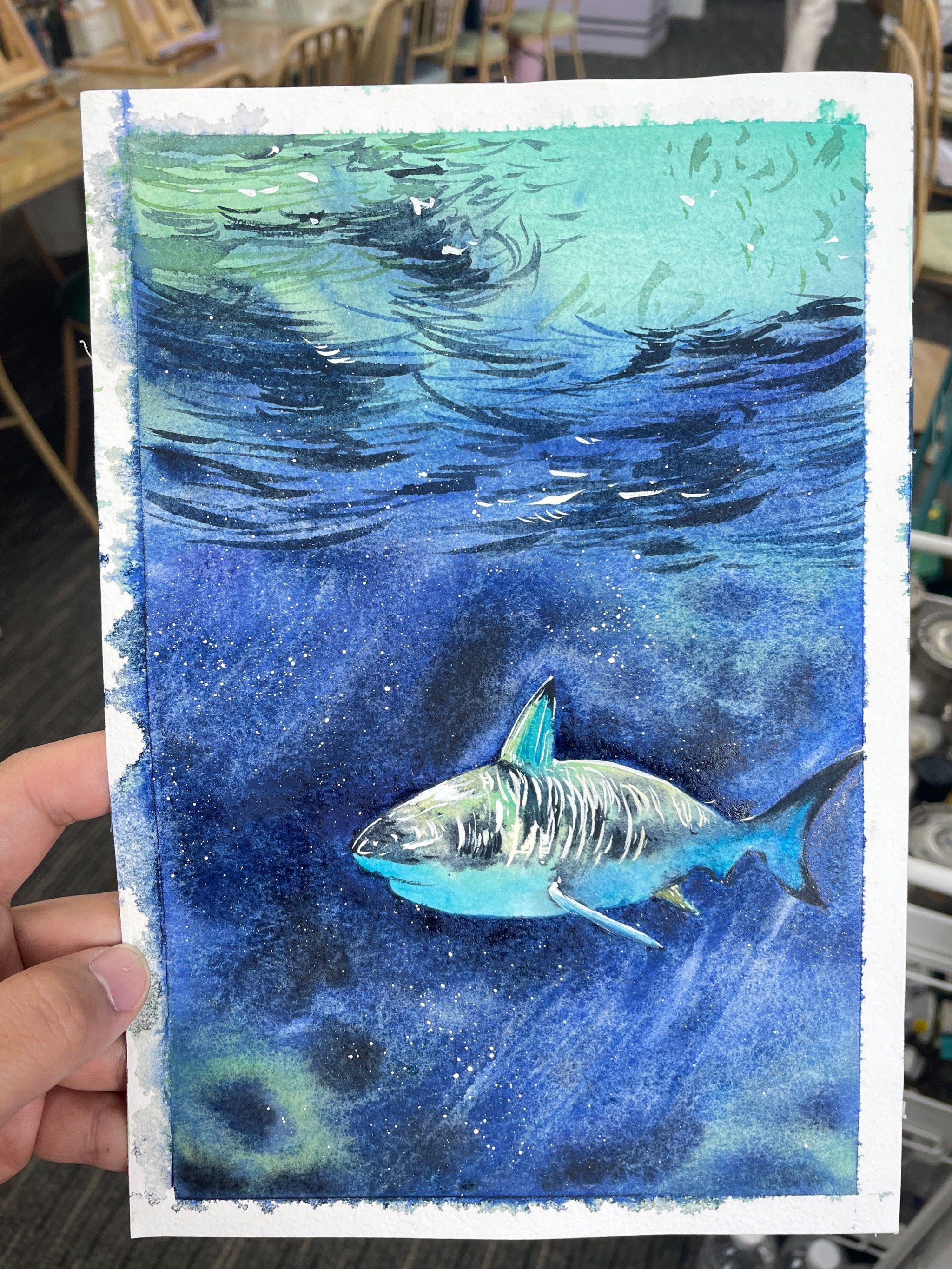 水彩笔记《鲨鱼》