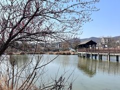 -石塘人家