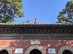 -普乐寺