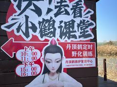 -盐城丹顶鹤湿地生态旅游区
