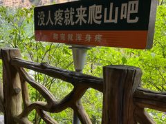 -马岭河峡谷风景区